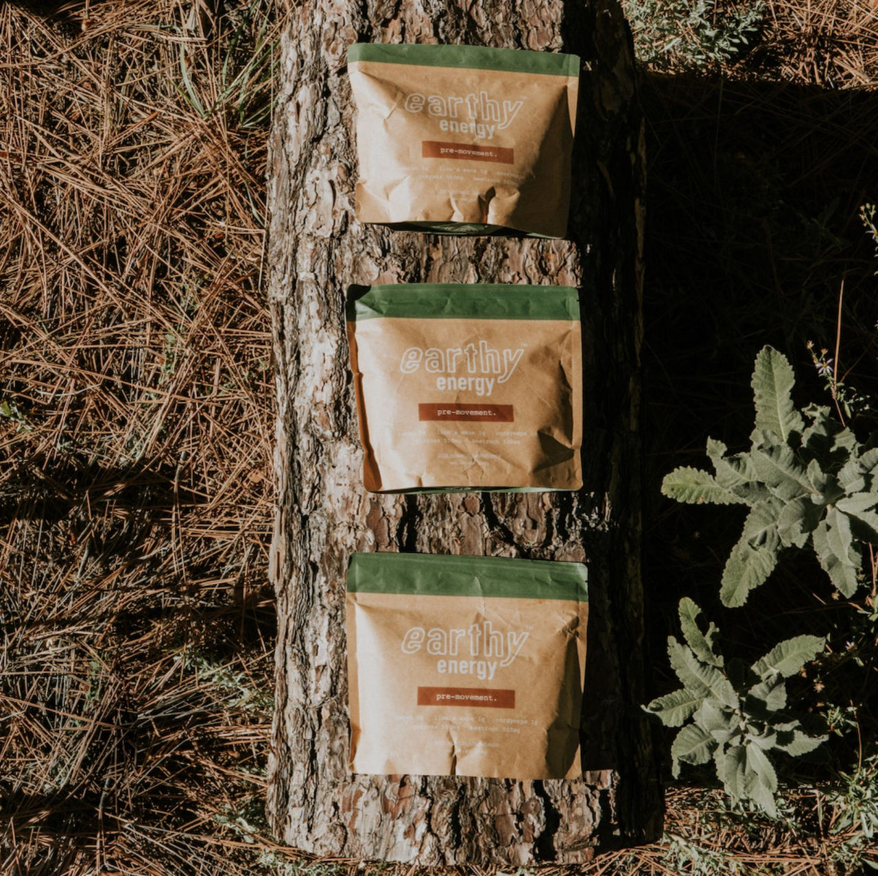 3 bag bundle